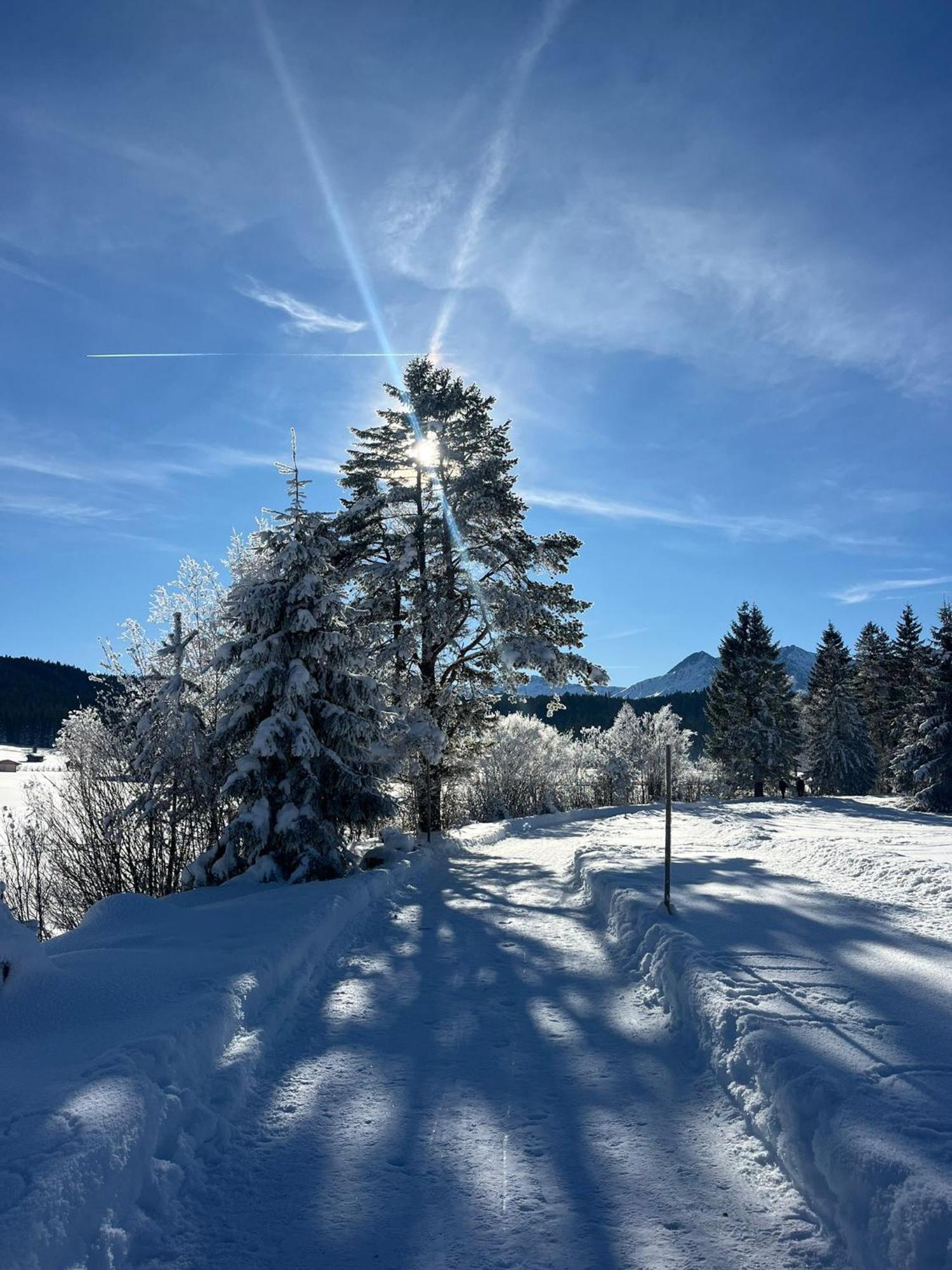 Alpenlandhaus Menardi Seefeld in Tirol Exteriér fotografie